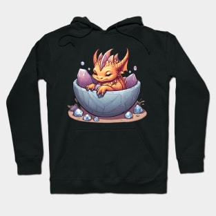 sleeping baby dragon in the bowl full crystal Hoodie